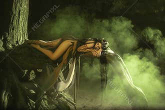 A fabulous; forest nymph Gyana