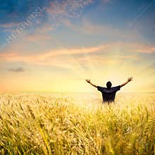 Man in wheat field