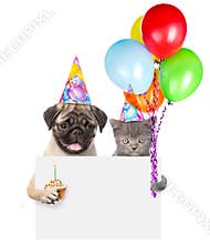 Cat and dog in birthday hats holding cake and balloons peeking from behind empty board. isolated on white background
