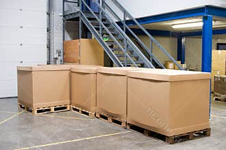 Pallets with cartons in warehouse