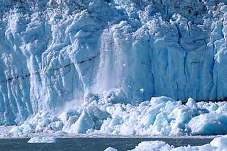 Ice Calving At Glacier Bay