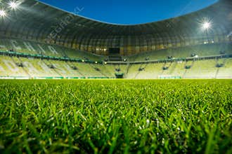 Empty stadium, with open roof. Close up on grass