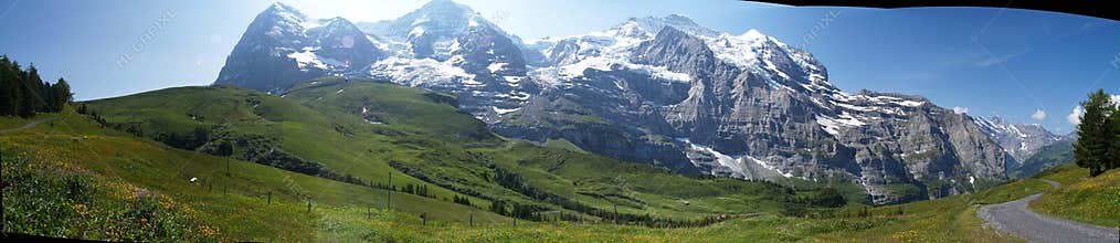 Green fields and swiss alps