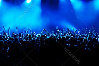 Concert Crowd