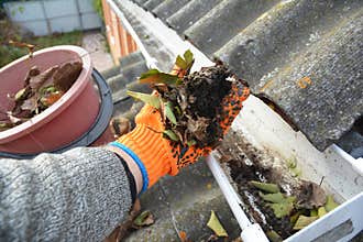 Roof Gutter Cleaning from Leaves in Autumn with hand. Roof Gutter Cleaning Tips.
