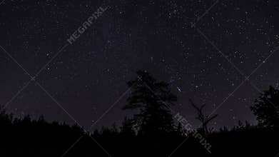 Stars in the night sky