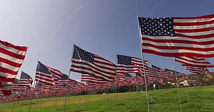 Set of American flags fluttering in the wind on the Memorial Day. Los Angeles, California, USA