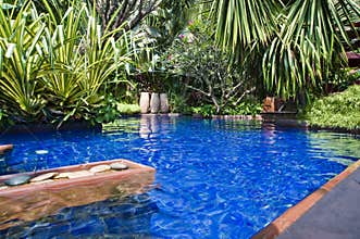 Tropical swimming pool
