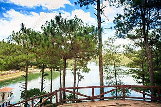 View from Wooden Terrace Through Pines on Tranquil Lake
