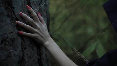 Close up shot of hand with long fingernails, a woman in a black cloak touches the bark of a tree in the evening