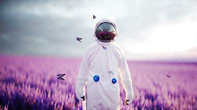 Astronaut with butterflies in lavender field. concept of future. broadcast. Realistic 4k animation.