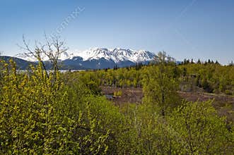 Scenic Alaskan wilderness
