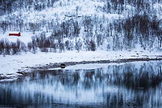 Lake reflection in the winter