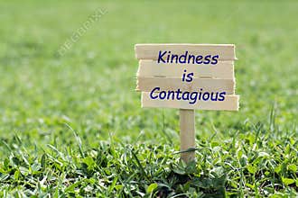 Kindness is contagious