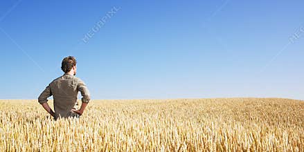 Young man in wheat field