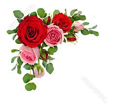 Red and pink rose flowers with eucalyptus leaves in a corner arr