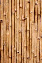 Bamboo