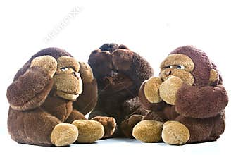 Three monkeys