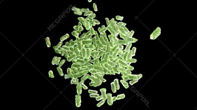 Bacterial growth, beautiful 3d animation