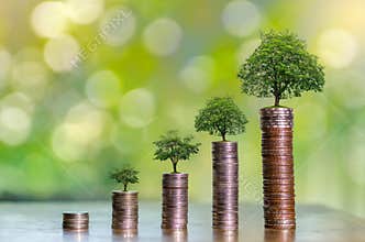 Money growth Saving money. Upper tree coins to shown concept of growing business