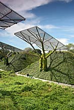 Modern library - garden.