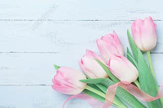 Tulip flowers decorated ribbon on blue table for Womans or Mothers day. Beautiful spring card. Top view.