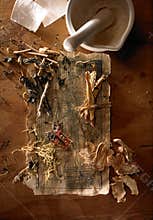 Chinese medicine herb
