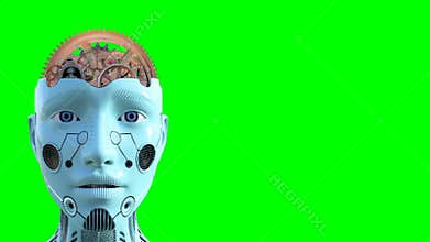 Artificial Intelligence, Brain, Technology, Isolated, Green Screen