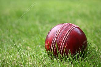 Cricket Ball