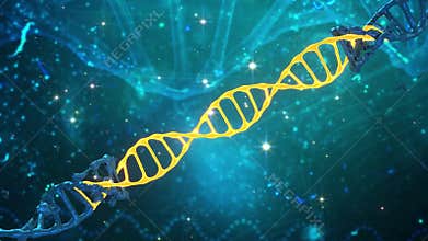Animation of DNA helix transformation in three-dimensional space.