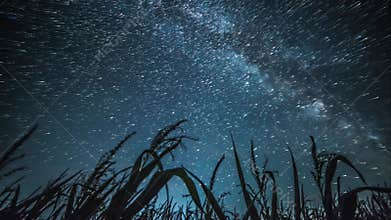 Night sky timelapse