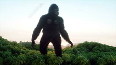 Giant gorilla and helicopter in jungle. Prehistoric animal and monster. Realistic fur and animation. 4K render.
