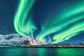 Green northern lights in Lofoten islands, Norway. Aurora borealis