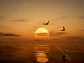 Golden Sunset with Eagles