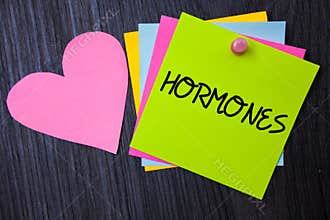 Writing note showing Hormones. Business photo showcasing Regulatory substance produced in an organism to stimulate cells Papers h