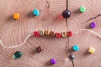 Word agility on wooden cube