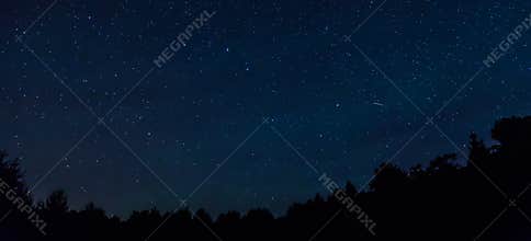 Starry night sky with a shooting star and a treeline in the foreground.