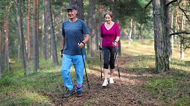 Nordic walking - active senior couple on the forest trail