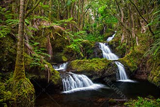 Onomea Falls in Hawaii