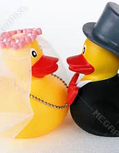 Wedding ducks 1