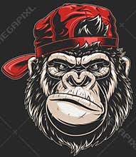 Monkey`s head in a baseball cap