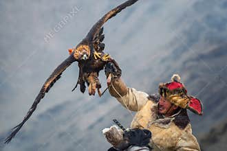 Mongolia, Golden Eagle Festival.Hunter On Horse With A Magnificent Golden Eagle, Spreading His Wings And Holding Its Prey.