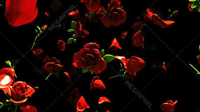 Falling red roses on black background