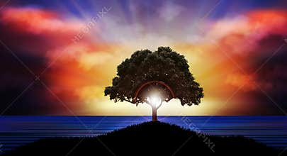 Beautiful Sunset over water tree silhouette nature landscape