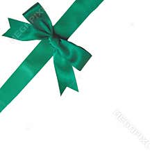Green ribbon bow