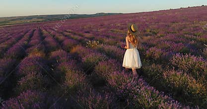 Chic girl comes with a bouquet of lavender on the field of lavender at sunset