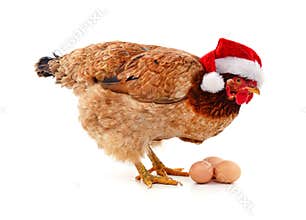 Chicken in a Santa hat with eggs and christmas balls