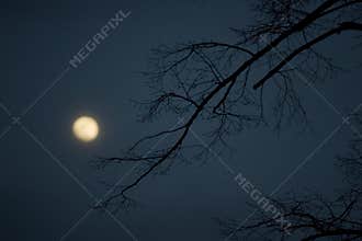 Full moon
