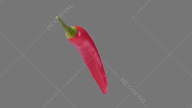 Chili pepper spin and float - chili isolated, alpha channel included