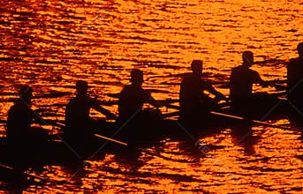 Silhouette of rowing crew at sunset